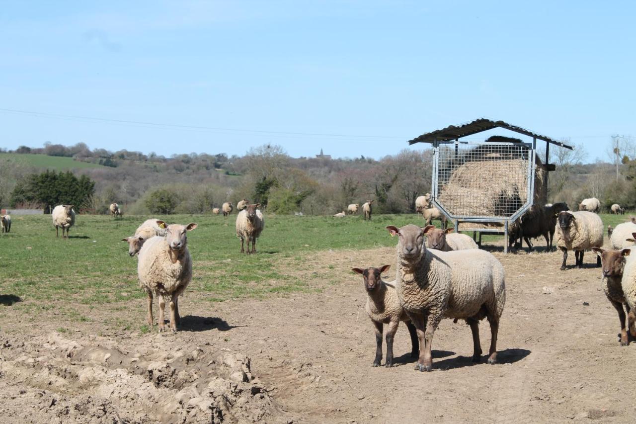 La Forge Villa Saint-Maurice-en-Cotentin Eksteriør billede
